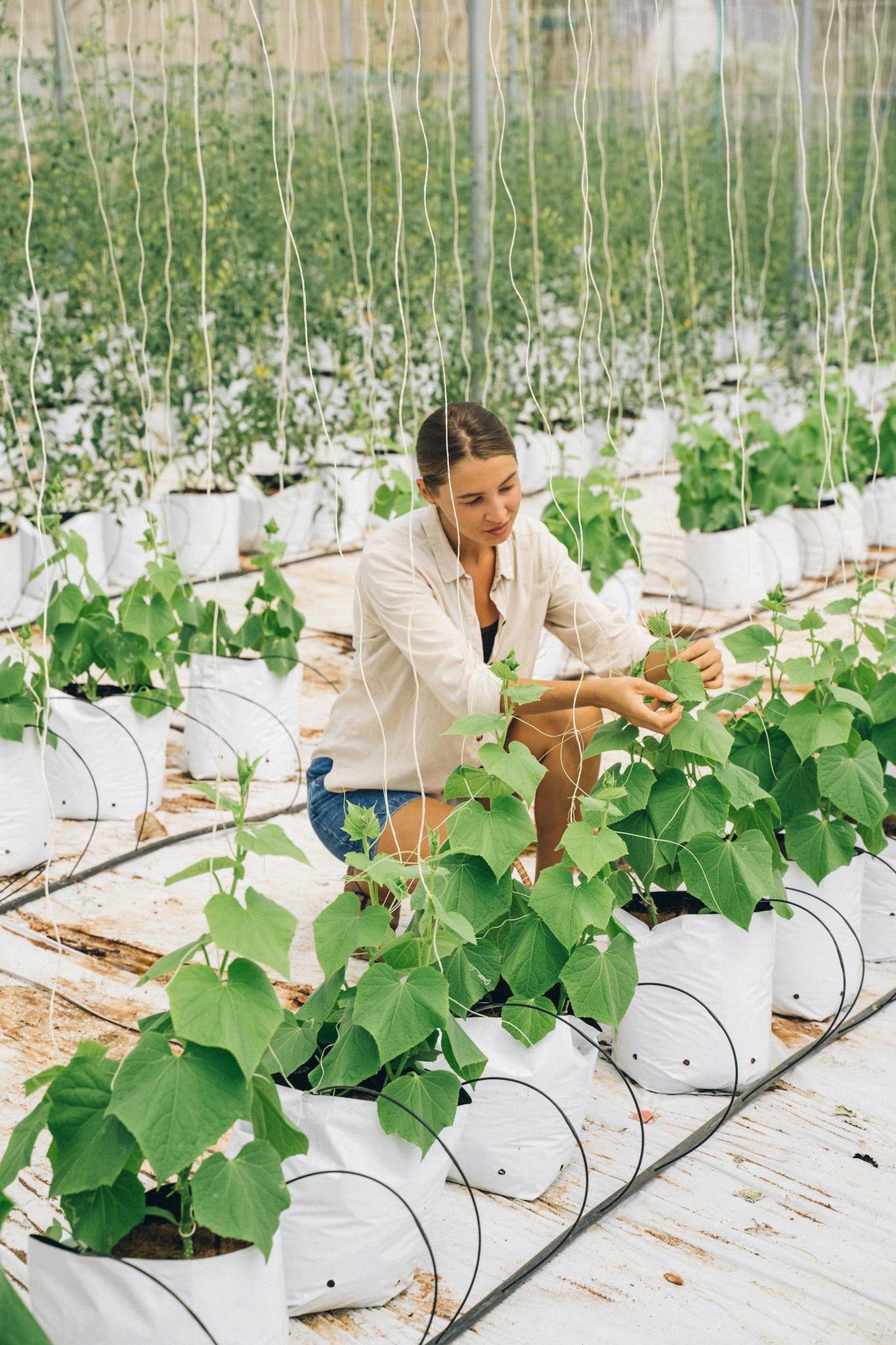 A woman carefully tending to plants in a well-lit indoor greenhouse, focusing on maintenance.