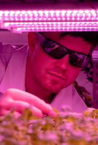 Photo by ThisIsEngineering A scientist examines plants in an indoor farm using LED technology for sustainable agriculture research.
