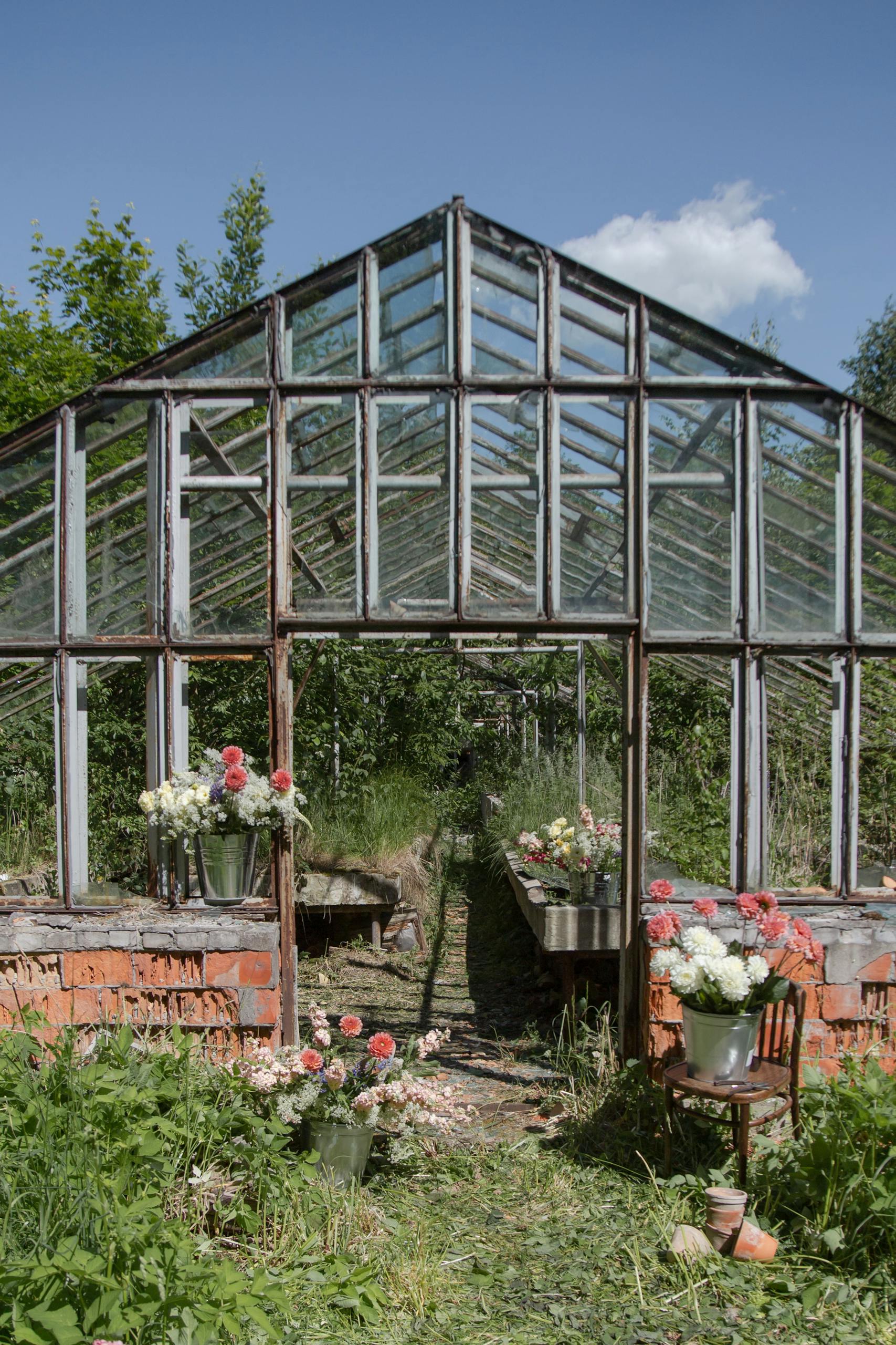 An overgrown greenhouse featuring vibrant flower arrangements under a clear sky.